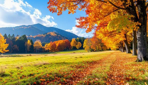 秋のイメージの風景写真 秋のイメージの風景写真の写真