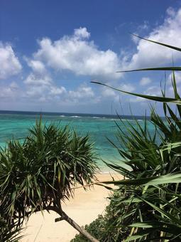 Paradise, hamamatsu, tropics, ocean, JPG