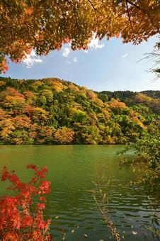 庄川・水記念公園の紅葉 紅葉,青空,観光地の写真素材
