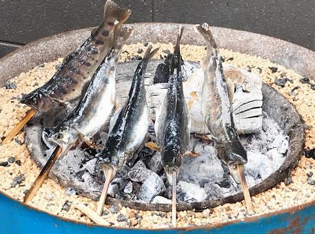 アマゴ塩焼き アマゴ塩焼き アマゴ塩焼き,アマゴ,サツキマスの写真素材