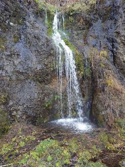 フンベの滝 自然,風景,木の写真素材
