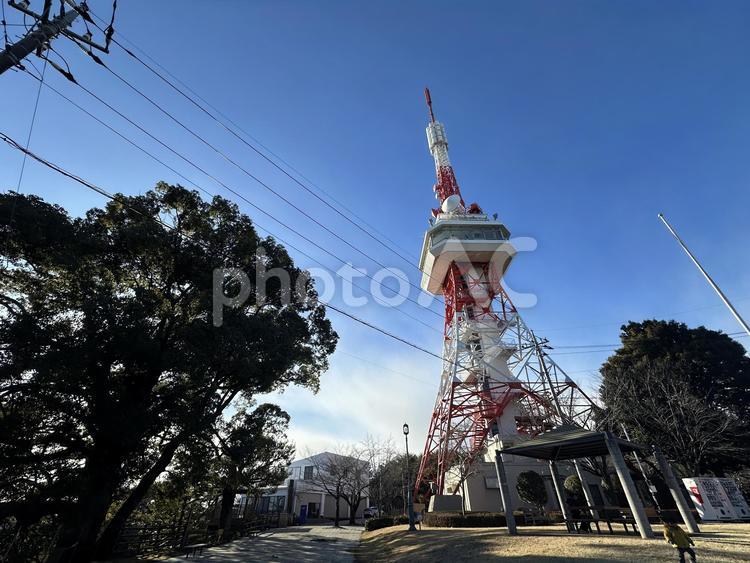青空にそびえたつ宇都宮タワー タワー,宇都宮,栃木の写真素材