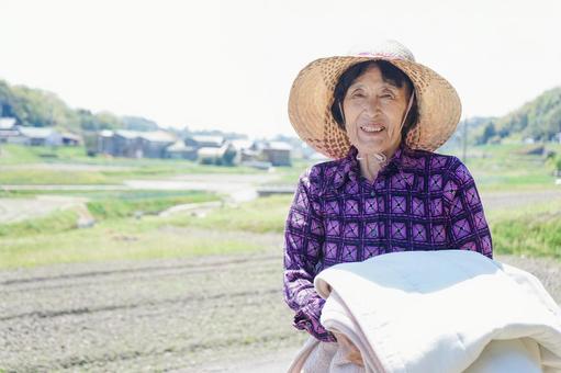 収穫をする高齢者 収穫をする高齢者 土いじり,自然栽培,日本人の写真素材