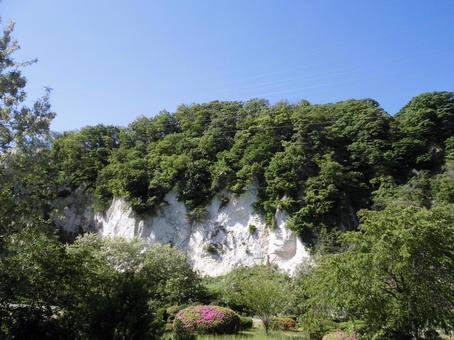 緑が生える季節 新緑,5月,若葉の写真素材