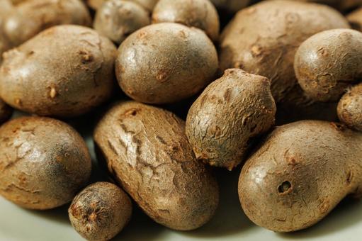 森の中から収穫してきた野生のむかご 森の中から収穫してきた野生のむかご 食べ物,食材,野菜の写真素材