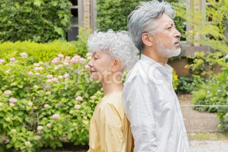 背中合わせで立つシニアカップル シニア,カップル,背中合わせの写真素材