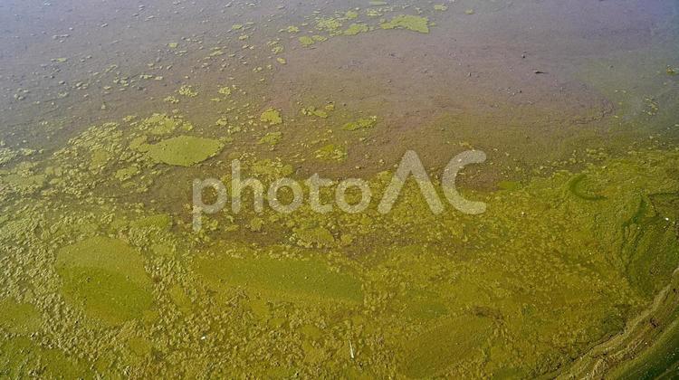 田植えが始まる前の田んぼ 田んぼ,泥,鏡面の写真素材