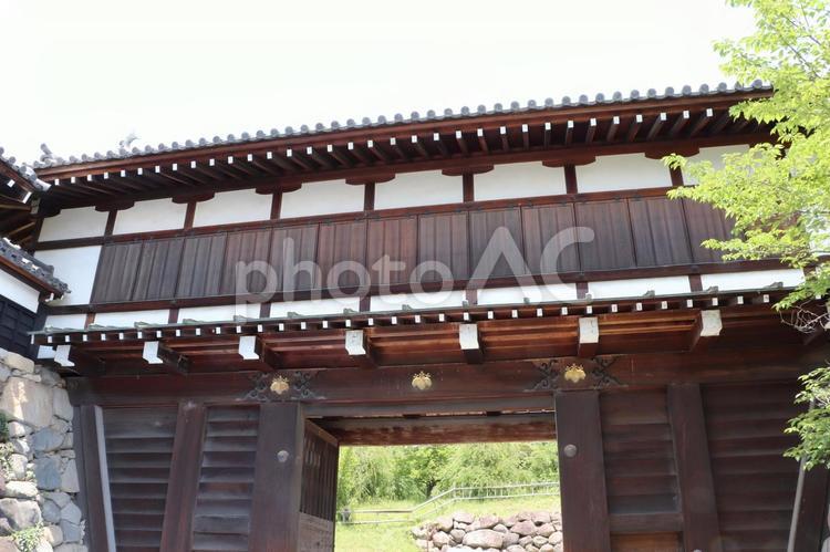 郡山城跡　追手門 郡山城跡,追手門,郡山城跡公園の写真素材