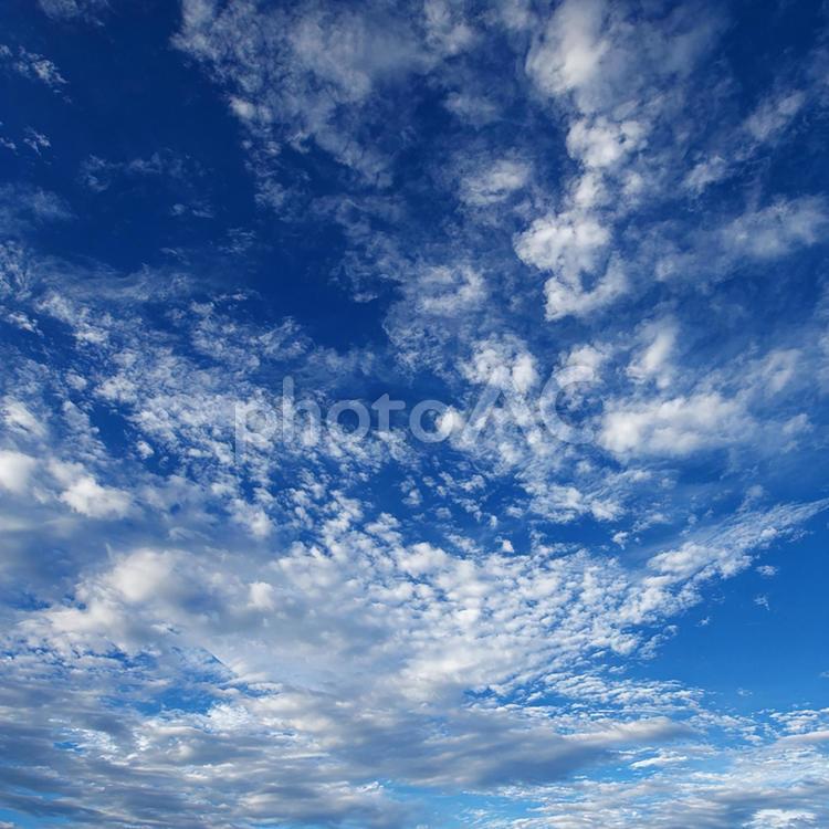 澄み渡る大空に描かれた白い雲の模様 空,青空,雲の写真素材
