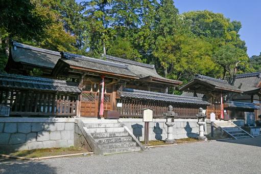 滋賀・近江八幡 奥石神社 諏訪社 本殿 滋賀・近江八幡 奥石神社 諏訪社 本殿 奥石神社,諏訪社,境内社の写真素材