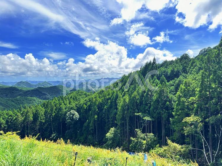 那智高原公園　熊野古道周辺 那智勝浦町,大雲取山,熊野古道入口の写真素材