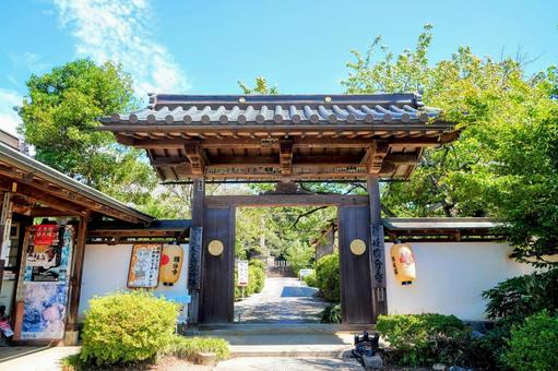 隠岐の島・隠岐国分寺 隠岐の島・隠岐国分寺の写真