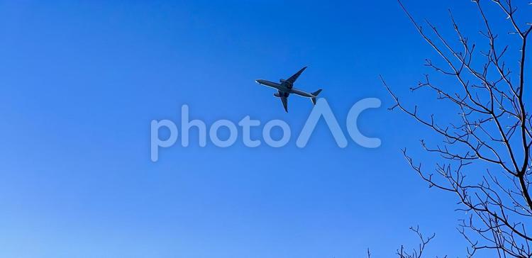 代々木公園上空を飛ぶ　飛行機 代々木公園付近,代々木公園上空,都会を飛ぶの写真素材