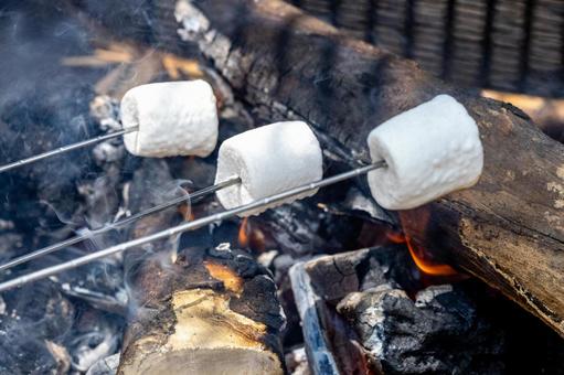 串に刺して焼かれるマシュマロ マシュマロ,焼く,スイーツの写真素材