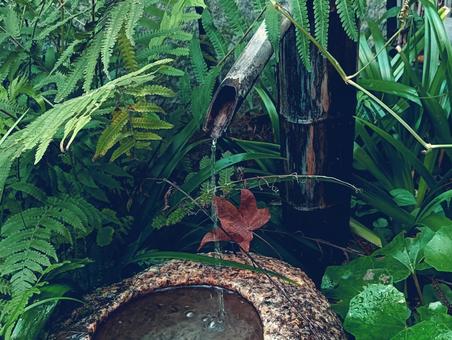 水のせせらぎ ししおどし,自然,鹿威しの写真素材