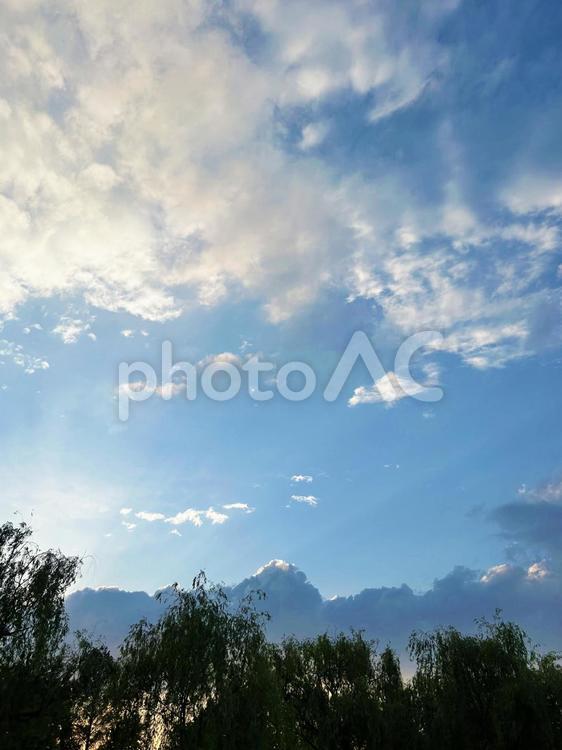 雲と青空と木々 青空,空,雲の写真素材