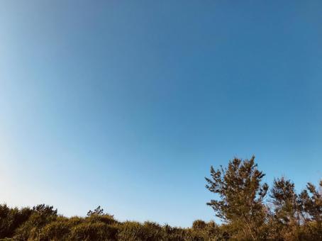 青空 青空の写真