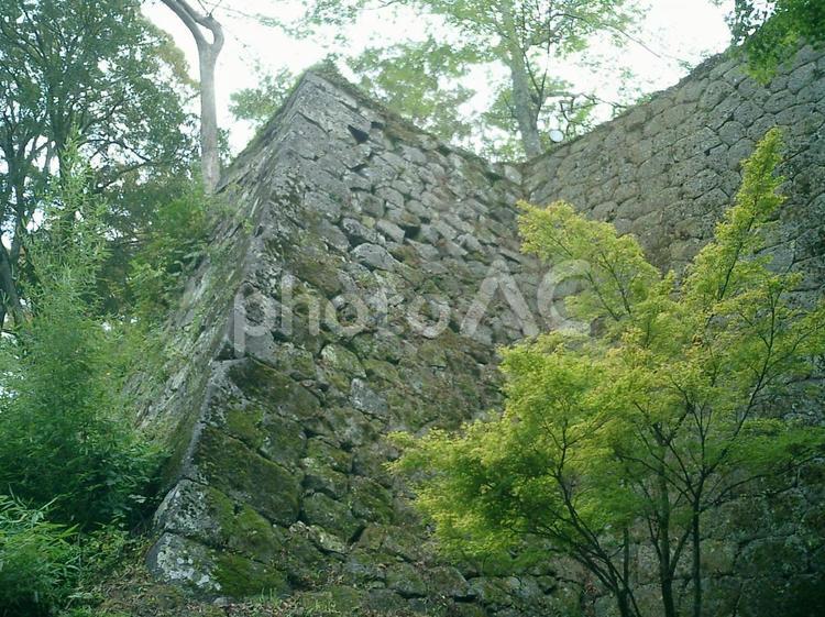 岡城登山道の石垣 岡城の写真素材