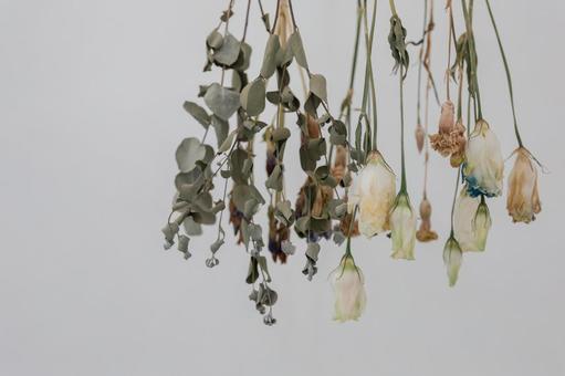 ドライフラワー ドライフラワー 花,ドライ,バラの写真素材