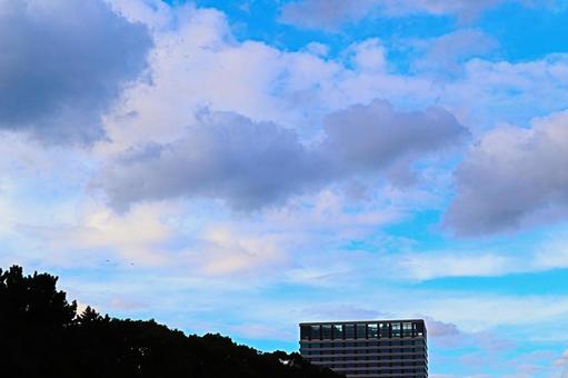 皇居前の空　１７ 空,夕焼け,背景の写真素材