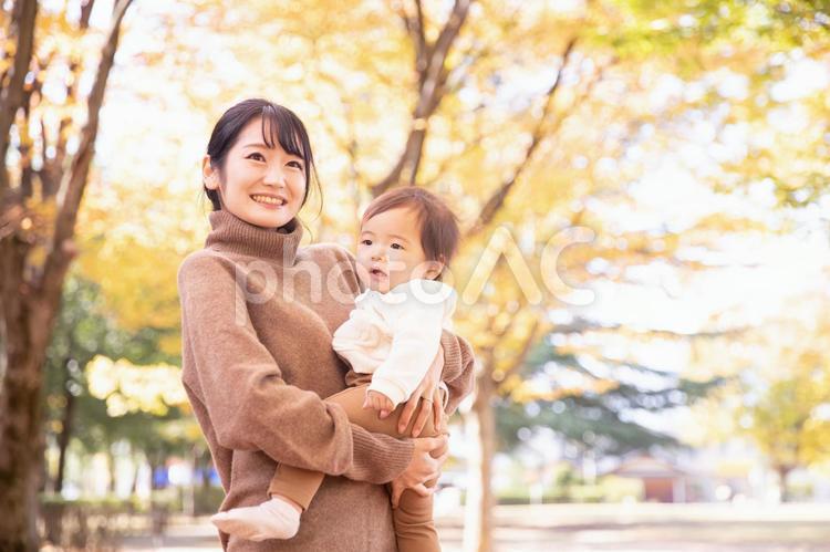 秋の公園で遊ぶ赤ちゃんとママ 赤ちゃん,ママ,親子の写真素材