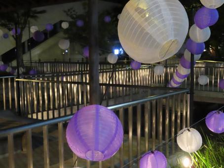 夏の提灯 夏の提灯の写真