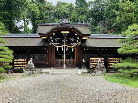 梅宮大社 本殿 梅宮大社 本殿 梅宮大社,京都府京都市,左京区の写真素材