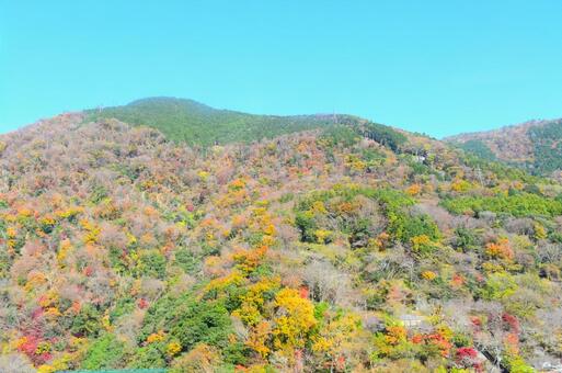 爽やかな秋空とカラフルな山 秋空,青空,空の写真素材