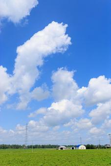 青空と雲 青空と雲 青空,雲,白い雲の写真素材