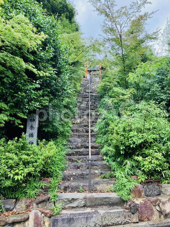 龍田大社　神奈備神社 龍田大社,奈良県生駒郡,二十二社の写真素材