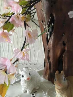 お花見うさぎ お花見うさぎの写真