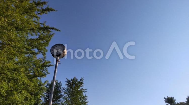 ５月の新緑と時計台 時計台,時計,新緑の写真素材