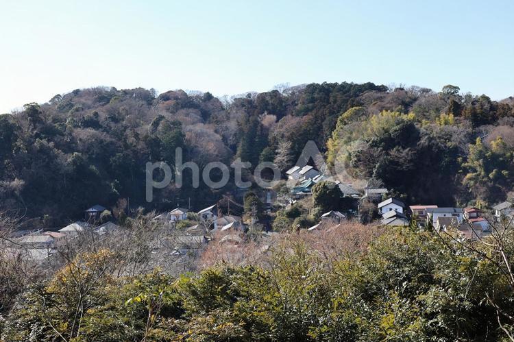 円覚寺の高台からの眺め 円覚寺,北鎌倉,眺望の写真素材