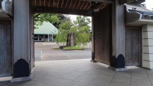 龍海院 是之字寺 山門から境内 龍海院 是之字寺 山門から境内の写真