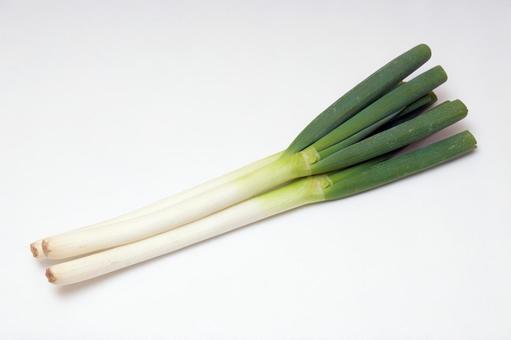 Japanese leek, hành, hành lá, fukaya, JPG