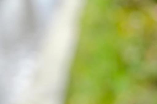 Soft colors with a spring background, blur, green, soft, JPG
