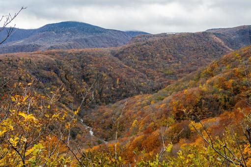 蔵王の紅葉(44) 蔵王,紅葉,秋の写真素材