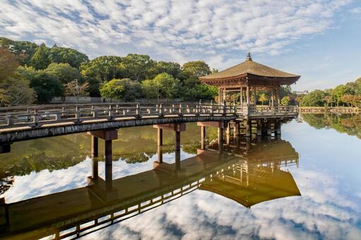 浮見堂 浮見堂,奈良公園,奈良の写真素材