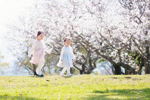 桜並木を散歩する姉妹 桜並木を散歩する姉妹 桜,さくら,サクラの写真素材