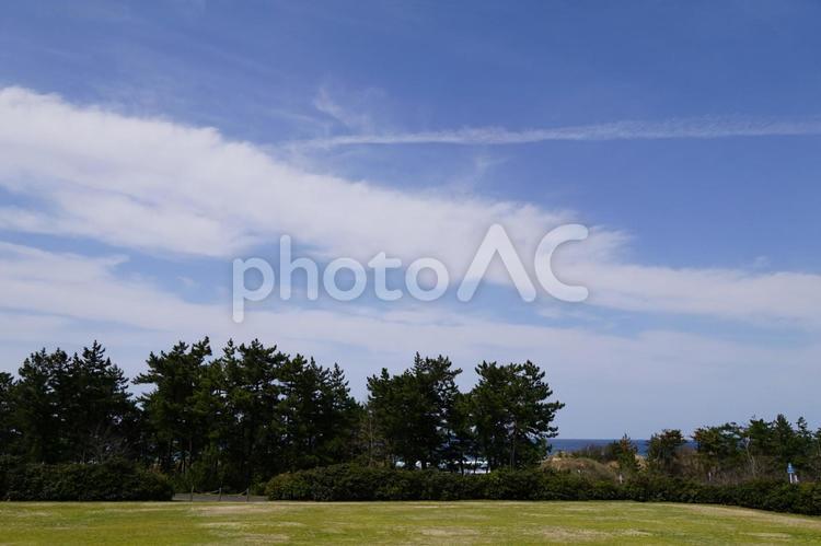 自然の風景 公園,オアシス広場,芝生の写真素材