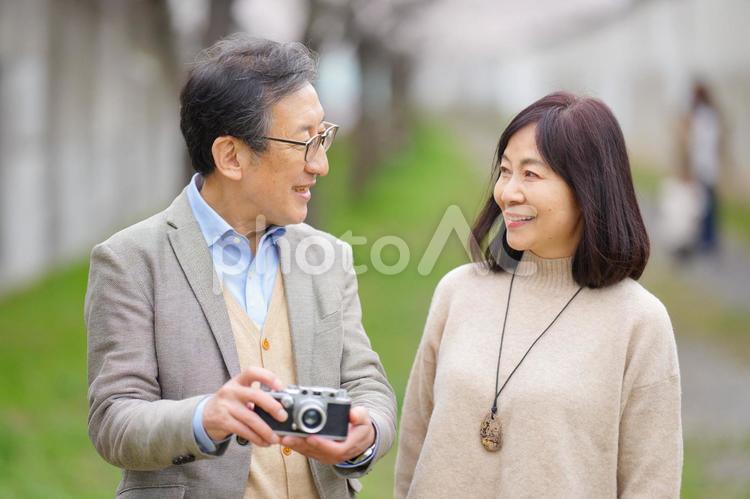 桜の前でカメラを持っている高齢男性と妻 夫婦,男性,女性の写真素材