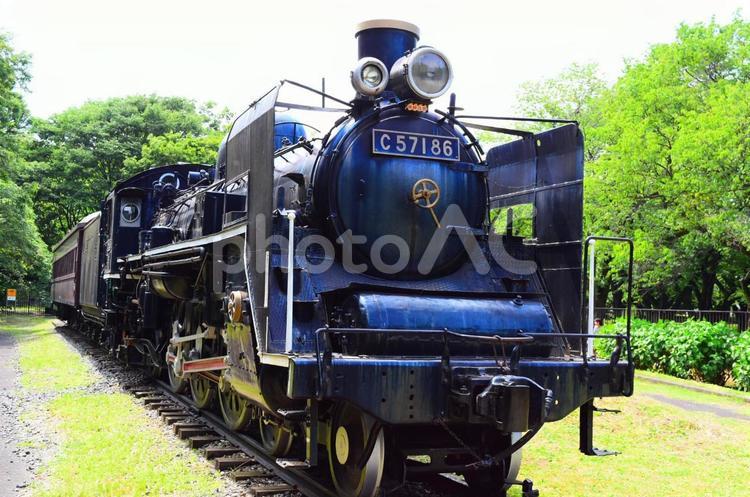 【東京・小金井公園】蒸気機関車・SL enjoy,holiday,tripの写真素材