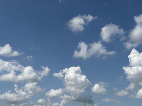 青空3 青空3の写真