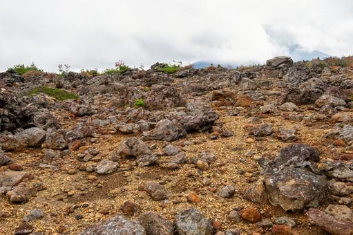 蔵王の紅葉(27) 蔵王,紅葉,黄葉の写真素材
