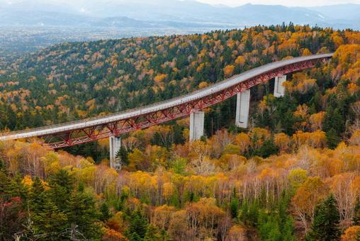 秋の三国峠 三国峠,秋,紅葉の写真素材