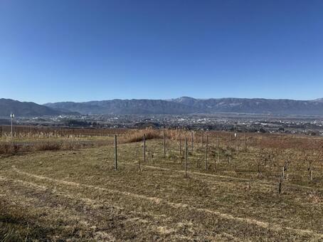 12月のワイン用ぶどう畑と塩尻市 ワイン用ぶどう畑,12月,冬の写真素材