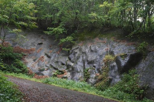 谷川岳山道 谷川岳,山道,木々の写真素材