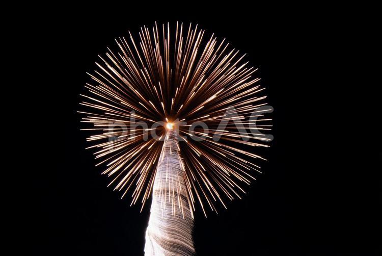 夜空に咲く華～花火の光跡を追って１ 花火,打上花火,花火大会の写真素材
