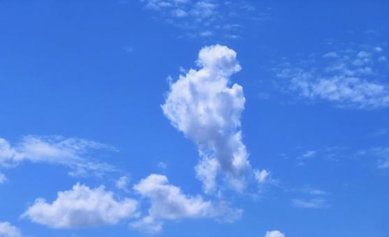 空画像・背景素材/秋の空雲 空画像・背景素材/秋の空雲の写真