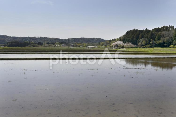 田植え前の水田 水田,田植え,水面の写真素材